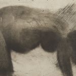 1312 8644 ETCHING